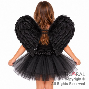SET ALAS CON PLUMAS Y POLLERA NEGRO (9595A)